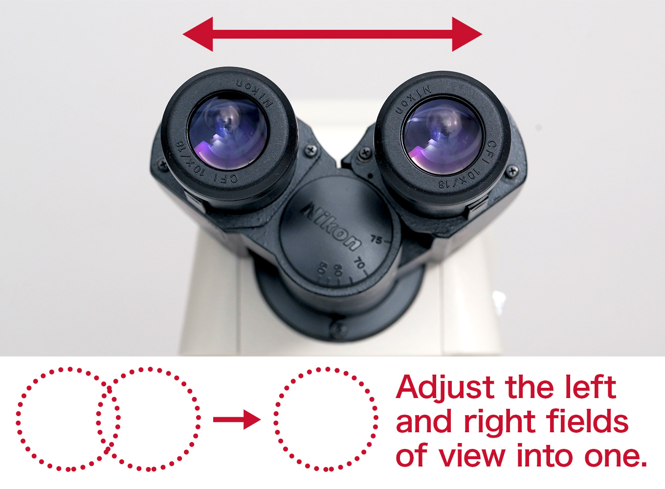 Adjust the left and right fields of view into one.