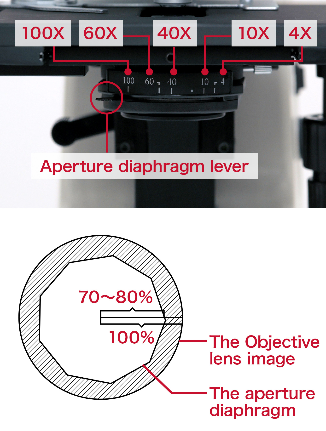 Align the aperture diaphragm lever
