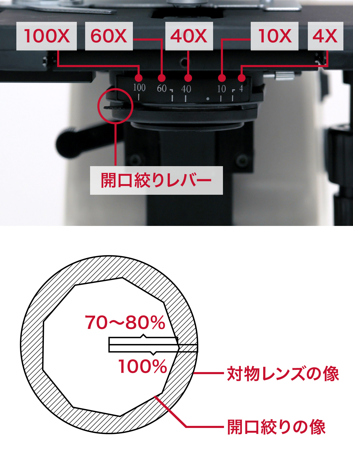 開口絞りレバーをあわせる