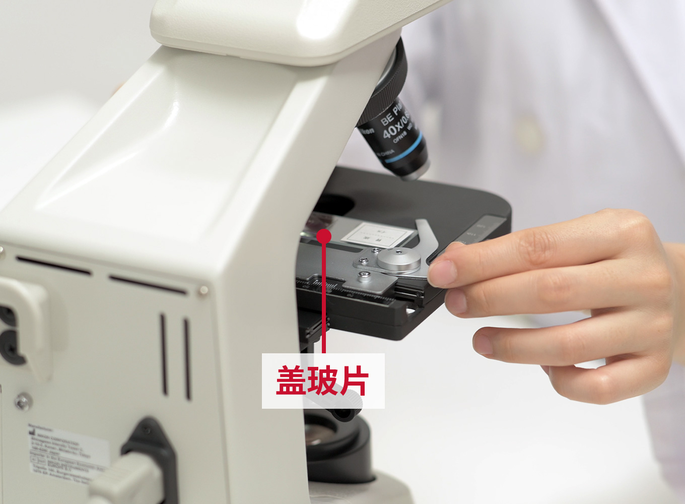 放置标本