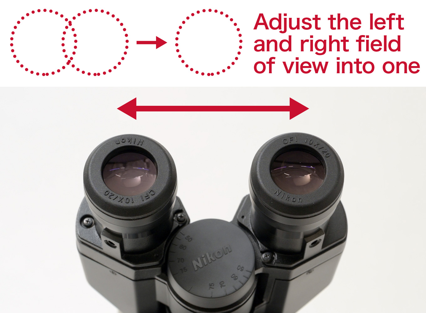 Adjust the left and right field of view into one