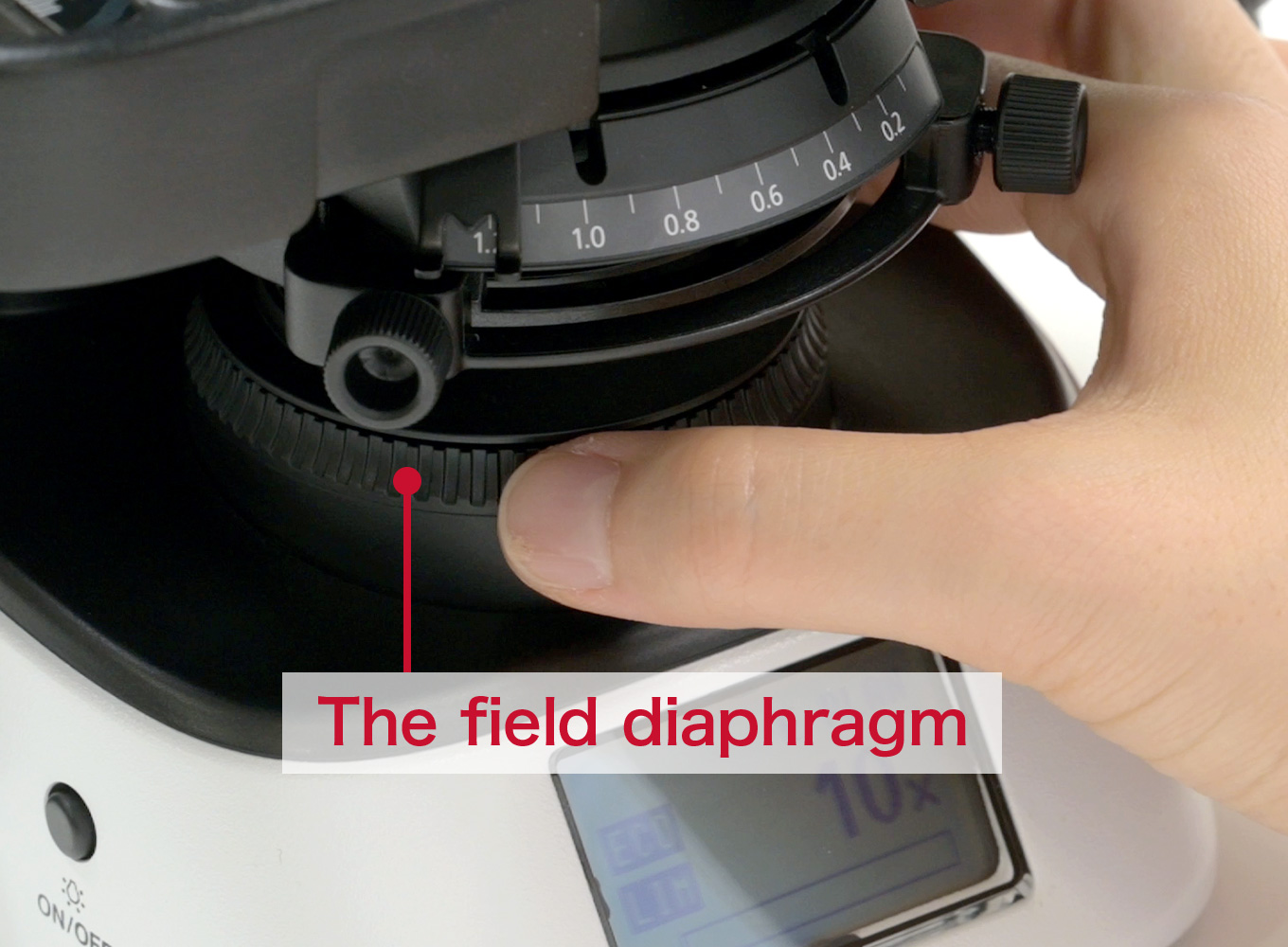 The field diaphragm 