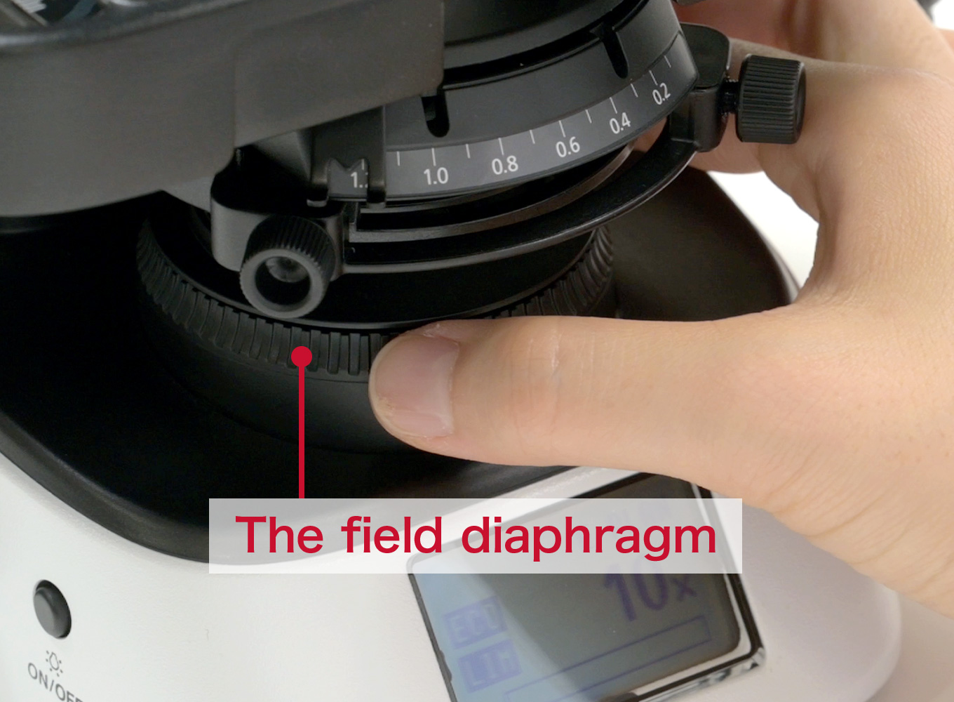 The field diaphragm
