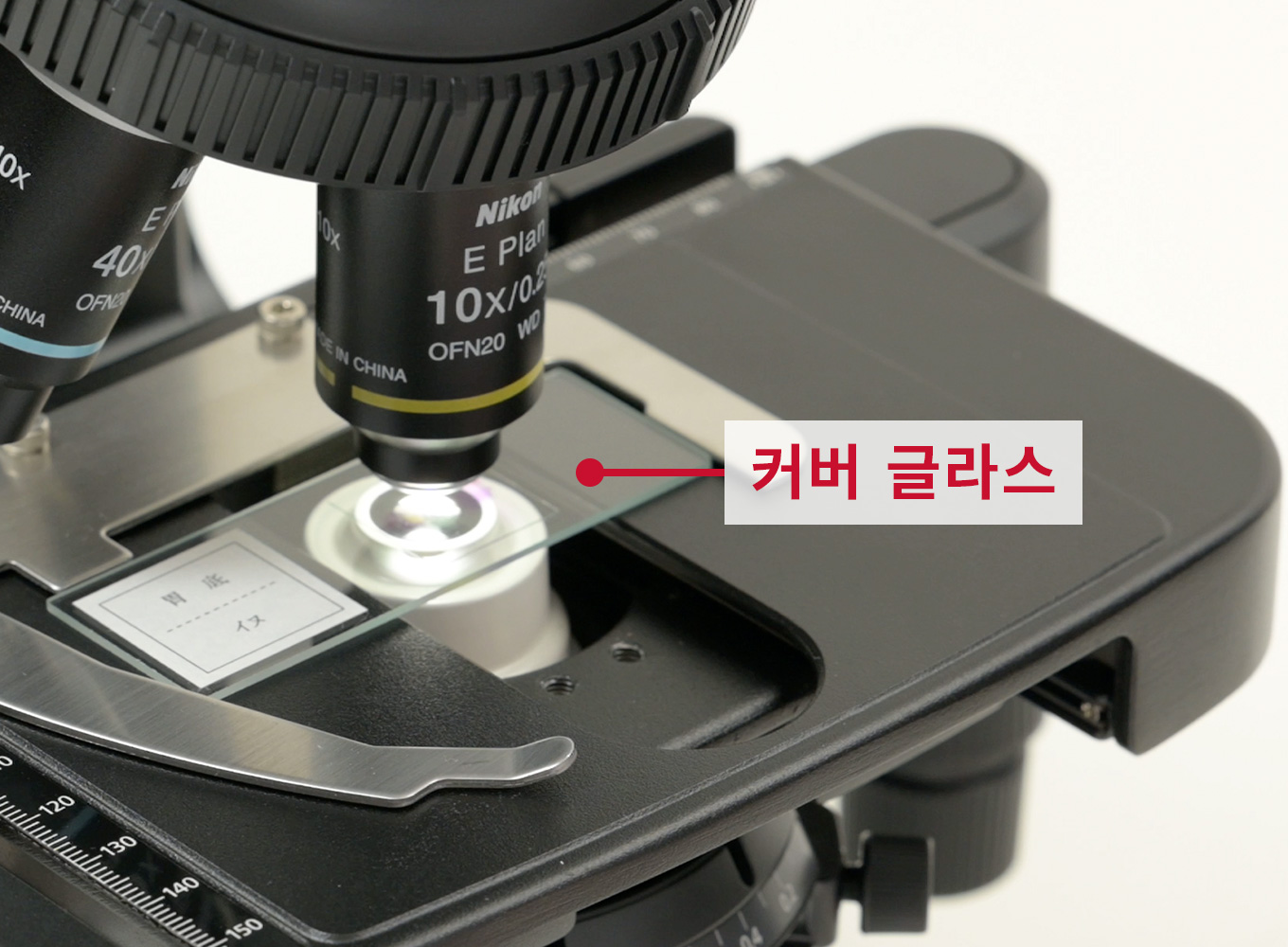 Specimen mounting